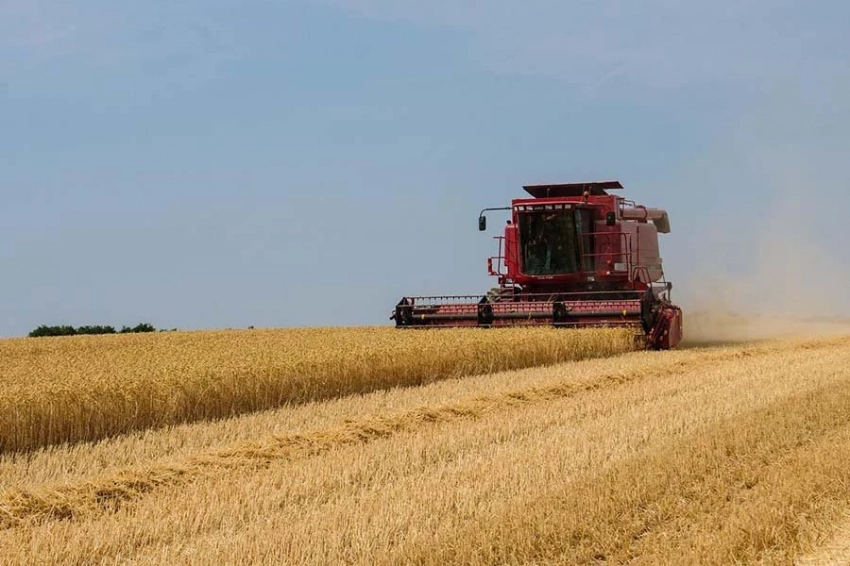 Европа назло России лишает себя дешевого продовольствия