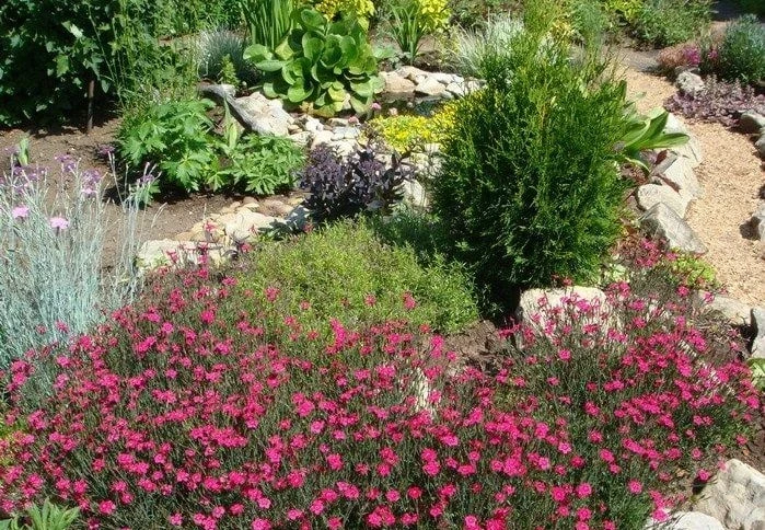 Борьба с весенним бурьяном: какие цветы посадить, чтобы не росли сорняки